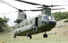 Chinook